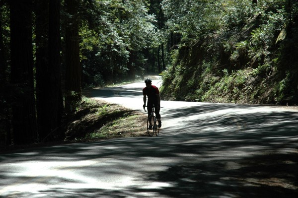 The quiet, sun-dappled lanes of Marin County